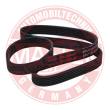 6PK1125-PCS-MS - V-Ribbed Belts