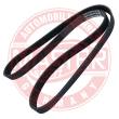 6PK1250-PCS-MS - V-Ribbed Belts