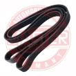 6PK1748-PCS-MS - V-Ribbed Belts