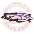 834-ZW-PR-SET-MS - Ignition Cable Kit