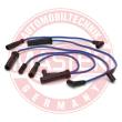 834-ZW-PR-SET-MS - Ignition Cable Kit
