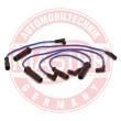 834-ZW-PR-SET-MS - Ignition Cable Kit