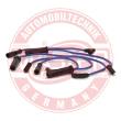 834-ZW-PR-SET-MS - Ignition Cable Kit