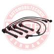 840-ZW-LPG-SET-MS - Ignition Cable Kit