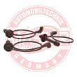 841-ZW-LPG-SET-MS - Ignition Cable Kit