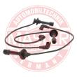 841-ZW-LPG-SET-MS - Ignition Cable Kit