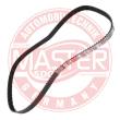 871-SD-PCS-MS - Timing Belt