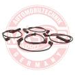 875-ZW-LPG-SET-MS - Ignition Cable Kit
