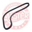 AVX-10X737-PCS-MS - V-Belt