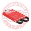 AVX-10X763-PCS-MS - V-Belt