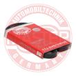 AVX-10X800-PCS-MS - V-Belt