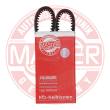 AVX-10X800-PCS-MS - V-Belt