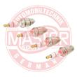 PRV-B6HS-SET/4/ - Spark Plug